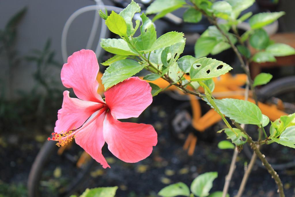 Lanta Happy Hill Hotel Koh Lanta Ngoại thất bức ảnh