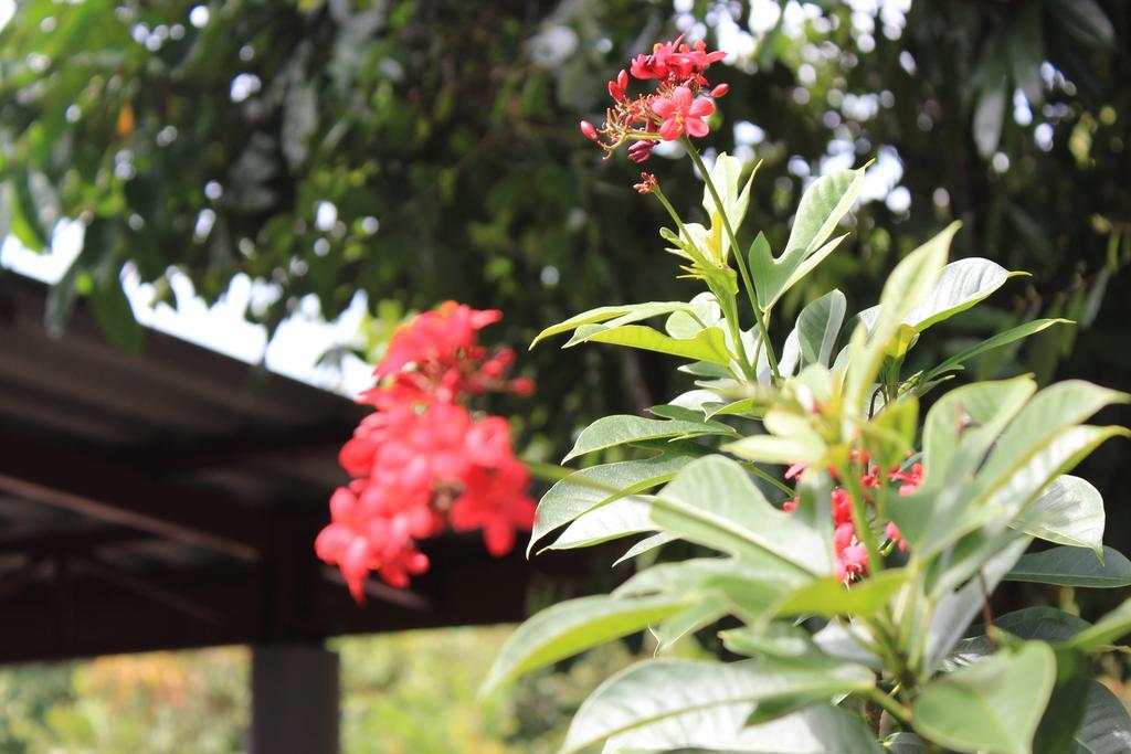 Lanta Happy Hill Hotel Koh Lanta Ngoại thất bức ảnh