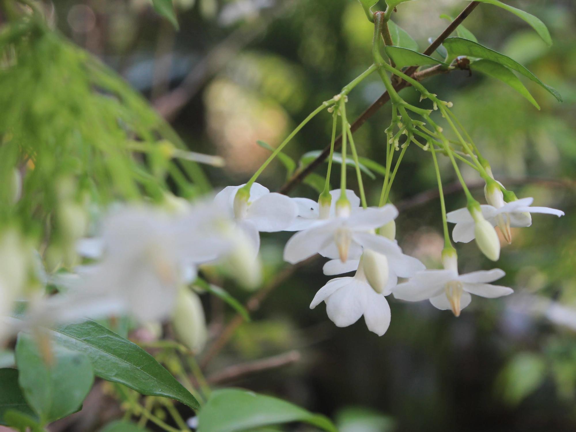 Lanta Happy Hill Hotel Koh Lanta Ngoại thất bức ảnh